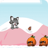 Gatto Corridore